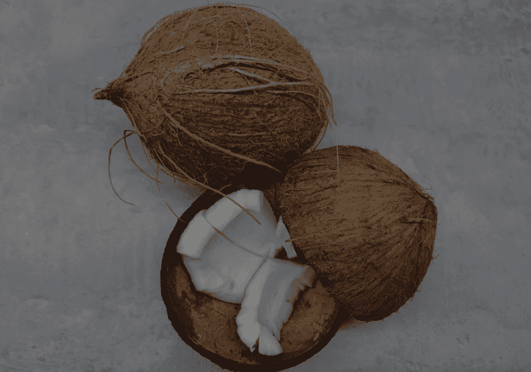 Come with us on the the journey to learn about the #1 fact about coconut oil